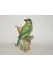 Kuş Porselen Vazo Megalaima Nuchalis Black-Browed Barbet Capitonidae Sanat Elegans Porselen 1 Adet 2
