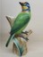 Kuş Porselen Vazo Megalaima Nuchalis Black-Browed Barbet Capitonidae Sanat Elegans Porselen 1 Adet 3