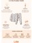 Bebek Çocuk Pijama Takımı 1.0 Tog, Modal & Pamuk - Dinozorlar 5