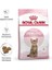 Kitten Sterilised Yavru Kısırlaştırılmış Kedi Maması 2 kg 3