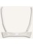Pedli Dantelli Bra-Fall in Love E7007AX25SP 2