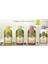 Zeytinyağlı, Macadamia, Argan, Hindistan Cevizi 600 ml Şampuanlar 1
