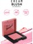 Profashion Cream Blush Krem Allık No: 41 Finish It Transparan Sabitleyici Pudra 4