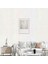 Angora Duvar Kağıdı 2213-3 (16,5m2) 1