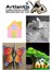 Maket Kartonu Beyaz Fotoblok 3 mm 35X50 cm 5 Adet Hobi Sanat Okul Köpüklü Straforlu Maket Kartonu 4