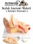 Kulak Anatomisi Modeli 1 Adet Insan Işitme Sistemi Ses Anatomik Modeli Deney Bilim Tıbbi Model Kulak Maketi Masaüstü 1