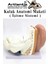 Kulak Anatomisi Modeli 1 Adet Insan Işitme Sistemi Ses Anatomik Modeli Deney Bilim Tıbbi Model Kulak Maketi Masaüstü 5