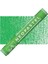 Neopastel Yumuşak Yağlı Pastel Grass Green 220 2