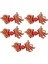 5 Pairs Geleneksel Çince Düğüm Kurbağa Düğmesi Kapakları Kostüm Dekoru Goldfish Kırmızı Kayısı (Yurt Dışından) 3