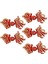 5 Pairs Geleneksel Çince Düğüm Kurbağa Düğmesi Kapakları Kostüm Dekoru Goldfish Kırmızı Kayısı (Yurt Dışından) 5