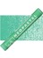Neopastel Yumuşak Yağlı Pastel Veronese Green 201 2