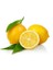 Limon Bonesi / 100 Adet / Bitki Çayı Bonesi 1