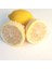 Limon Bonesi / 100 Adet / Bitki Çayı Bonesi 3
