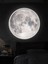 Modern Aplik-Moon LED 30 cm Çap 25WATT, Ay LED Aplik, Avize Kolay Montaj Yuvarlak Ay 2
