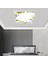 Baharlım Tavan AVIZE-60 x 60-LED-54WATT-TAVANA Yapışık Lamba-Ev Aydınlatma-Modern Salon Avizeleri- Uv Baskı 3