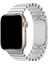 Apple Watch Uyumlu Paslanmaz Çelik Bilezik Akıllı Saat Kordonu 45-49mm Series 7, 8, 9, 10, SE, Ultra 3