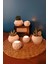 6'lı Tealight Mumluk ve Saksı Seti Sukulent & Kaktüs Saksısı Gift Hediyelik 1