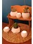 6'lı Tealight Mumluk ve Saksı Seti Sukulent & Kaktüs Saksısı Gift Hediyelik 2