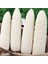 Doğal Geleneksel Hickory King White Beyaz Süt Mısırı Tohumu(5 Tohum) 1