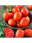 Doğal Geleneksel Roma Organic Domates Tohumu(20 Tohum) 1
