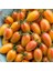Blush Cherry Domates Tohumu (15 Tohum) 2