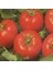 Narita F1 Sırık Domates Tohumu (10 Tohum) 1
