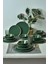 Green Gold Fileli Nordic Yemek Takımı 24 Parça 6 Kişilik 7