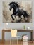 Siyah At Koşuyor Dekoratif Tablo 2