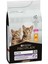 Proplan Kitten 1