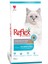 Kısır Kedi Maması Somon Pirinç Açık 1 kg 2