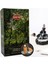 Rain Forest Yağmur Ormanları Back Flow Geri Akış Tütsü 10 Lu 1