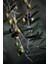 Zeytin Ağacı Fidanı -Arbequına- Aşılı 2 Yaş 20-50 cm Boylarında Tüplü Doğaşık 2