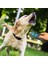 Buffer® Ultrasonik Köpek Kovucu ve Eğitici Cihaz 4
