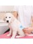 Kedi Köpek Tüy Toplayıcı Kendini Temizleyebilen Ergonomik Saplı Evcil Hayvan Tarağı Mavi (4604) 5