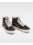 Sk8-Hi 2