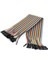 20CM 40 Pin Dişi Dişi Dupont Kablo Ayrılabilir 2.54MM 10 Renk Breadboard Atlama Kablosu Jumper 1