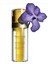 Clr Plant Gold 35 ml Canlandırıcı Serum 4
