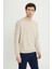 Standart Fit Normal Kesim 2 Iplik Recycle Pamuklu Bisiklet Yaka Sweatshirt 5