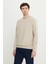 Standart Fit Normal Kesim 2 Iplik Recycle Pamuklu Bisiklet Yaka Sweatshirt 3