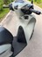Honda Sh Aksesuar Paketi ( Koruma Demiri - Egzoz Koruma - Konfor Sele - Paspas) 2