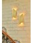 Pilli Modern Dekoratif Duvar Aydınlatması Aplik Gece Lambası Gold (2 Adet Set) 2
