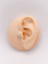 Cerrahi Çelik Piercing Zirkon Taşlı Deniz Yıldızı Figürlü Kıkırdak Helix Tragus Piercing (1ADET) 1