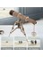 Minyatür Teleskop | Ahşap Teleskop Maketi | 3D Puzzle 2