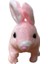 Pilli Zıplayan ve Kulakları Hareket Eden Pembe Tavşan 1