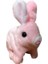 Pilli Zıplayan ve Kulakları Hareket Eden Pembe Tavşan 3
