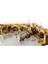 Star Wars 75290 Mos Eisley Cantina 4