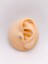 Cerrahi Çelik Piercing Marka Model Mini Yonca Kıkırdak Helix Tragus Piercing (1ADET) 1