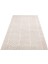 Znt 05 Beıge Dyed - Zenıth Dyed - Yüksek Alçak Dokulu Naturel Yün ve Viskon Modern Dokuma Halı 2