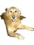 Köpek Araba Koltuğu Kapağı Katlanır Hamak Pet Taşıma Çantası Sepet Taşıma Kedi Kararlı Katlanabilir Seyahat Pet Köpek Araba Koltuğu (Yurt Dışından) 1