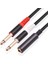 Adet 6.35MM 1/4 Inç Stereo Trs Dişi - 2 Çift Mono Erkek Y Ayırıcı Kablo Ses Adaptörü (Yurt Dışından) 3